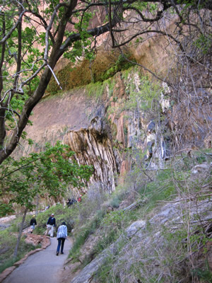 walkway